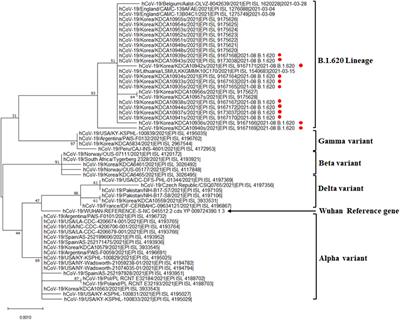 Outbreak of Severe Acute Respiratory Syndrome Coronavirus-2 B.1.620 Lineage in the General Hospital of Jeju Island, Republic of Korea